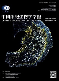 细胞生物学